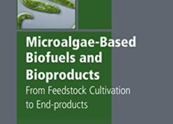 Microalgae-Based Biofuels and Bioproducts: From Feedstock Cultivation to End-Products (Woodhead Publishing Series in Energy)