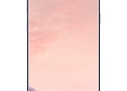 Samsung Galaxy S8, G950FD 64GB Smartphone, Orchid Grey, Factory Unlocked (International Version)