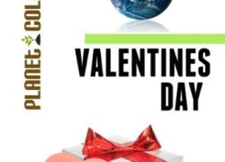 Valentine's Day: Picture Book (Educational Children's Books Collection) - Level 2 (Planet Collection 99)