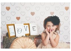 Photography Backdrops for Valentines Day Vinyl Photography Background Kids Baby HSD Backdrops 5'x5'