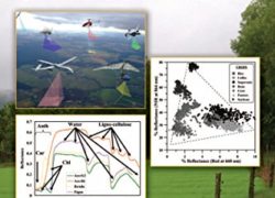 Hyperspectral Remote Sensing of Vegetation