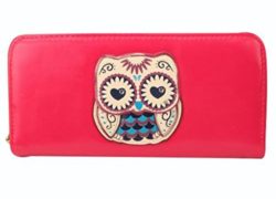 Valentine's day gifts,Gifts for Women!!!-easygogo®Womens Owl Print Bifold Long Zip Around Clutch Wallet Best Friends Gifts for Women Christmas Gifts Ideas (Rose)