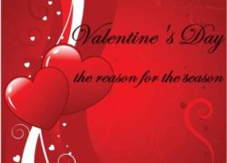 Valentine's Day : the reason for the season