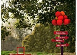 Love Balloon Woods Wedding Background Photography Valentine's Day