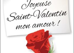 Joyeuse Saint-Valentin mon amour ! (French Edition)