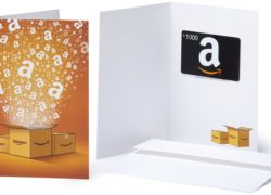 Amazon.com $1000 Gift Card in a Greeting Card (Holiday Globe Card Design)