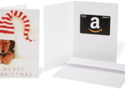 Amazon.com $1500 Gift Card in a Greeting Card (Christmas Nativity Card Design)